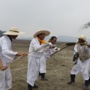 태안자염축제 성황리에 끝냈습니다. 이미지