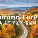 가을을 적시는 분위기 있는 감성 피아노 🌾가을 속 감미로운 아침음악 3시간🍁Autumn Forest 이미지