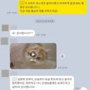 천식농장 | 서울고양이동물병원에서 알려주는 고양이 천식, 진단부터 관리까지 한 번에!