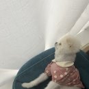 행복만줄개 이미지