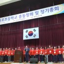 용호초교 이미지