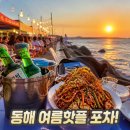 동해포차 - 서구 염화로160번길 15-1 | 동해 어달해변포차 후기 영업시간 메뉴 주차장 오픈기간