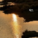 우두동 자전거도로 이미지