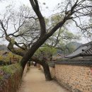 캐리어총판 - 고양시 일산동구 장항로 381-169 | 캐리어총판