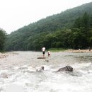 들꽃향기 펜션 이미지