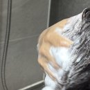 풍성한 머릿결을 위한 두피케어 이미지