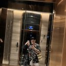 물목식당 | 베트남 여행지 "다낭"호이안" 2일차 (참섬호핑투어, 스노쿨링, 아리스파, 다낭해산물목식당, 선짜야시장)