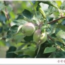 풍운농원 이미지