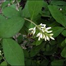 밥풀떼기 이미지