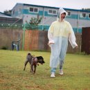 멍나들이 이미지