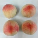 홍은농장 | 도모농장 조대홍