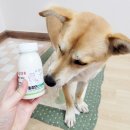 최정언산양목장 이미지