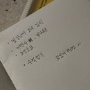 멍멍이랑 호호아줌마 | ⠀⠀⠀