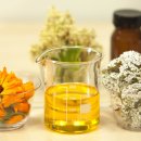 원예복지사 이미지