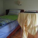 파라다이스텔 이미지