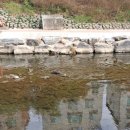매천역(지상철3호선) | 살기 좋은 대구 3호선 아래, 하천 자전거. 걷기 코스(with:수달이 물고기 잡아먹는 영상)
