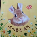 알피네수학학원 | 도레미곰 전집 가격 놀라운자연 베베코알라 스티커 세이펜