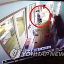 성모성심유치원 이미지