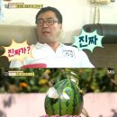 수박곡 이미지