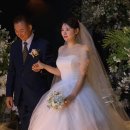 엠시티 | 일산 웨딩홀, 아이폰스냅 추천 / 엠시티웨딩컨벤션 본식 촬영 후기 (히니스냅)