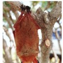 광천읍 주민센터 이미지