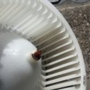 성진크리닝 이미지