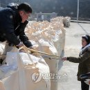 양구남면농산물