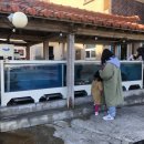 표선리-32 이미지