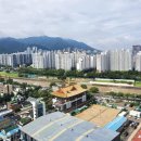 신천동로 이미지