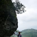 6월 정기산행 (공감과 따뜻함과 동행이란 것은...) 이미지