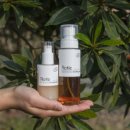 세븐일레븐 제주라마다시티점 이미지