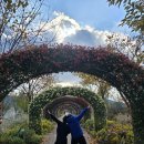 (사)한국신장장애인협회 경북협회 김천지부 이미지