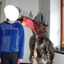 바디포 휘트니스 이미지