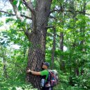 수비초등학교 이미지