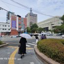 2026 08 15 제103차 하이문답사(도모헌) 이미지