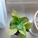 하날농장 이미지