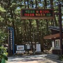 몽산포자동차야영장 | 몽산포해수욕장 자동차야영장 차박 후기, 한여름에도 시원한 그늘 명당 발견!