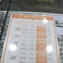 으뜸50안경동래점 | 저렴한 안경 지금이 득템의 기회! 수안동안경점 세명안경원