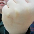 술시애 | 13.01.12(토) 용★★★님 번개 (혜화동칼국수, 活고등어회)