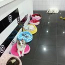 멍하우스 이미지