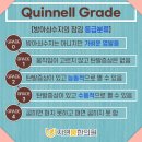 수지봄한의원 네이버블로그