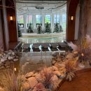 밀양대로 | 밀양 가볼만한곳 대형카페 열두달 카페 사계절 휘낭시에 맛집 내돈내산 후기