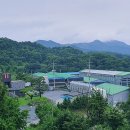 친환경화식농장 네이버블로그