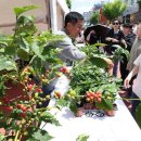 노원-공릉-3488 이미지