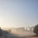 온그린 골프장 | 수도권 골프장 추천 경기도 이천 솔모로CC 골프 라운딩 후기