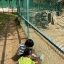 전남도청비둘기어린이집 이미지