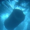 삼이사