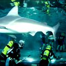 아쿠아리움 이미지