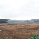 수청2지구 소나무 이미지