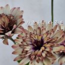 미소 홈 인테리어 네이버블로그